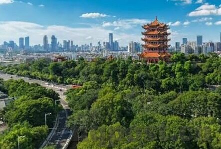 久久国产精品一区二区-探索国产影视的多元魅力，一区二区的文化视角与艺术价值
