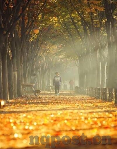 久久天天躁狠狠躁夜夜av麻豆-沉迷与自由，在久久天天与夜夜av的迷离边缘