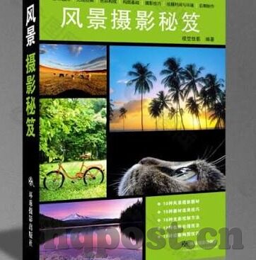 麻豆91精品视频-解密麻豆91精品视频，隐蔽的互联网文化现象的多角度透视