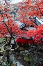 欧美成人精品视频-欧美成人精品视频，文化、艺术与个人娱乐的交汇